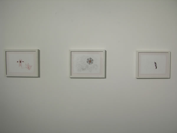 Cristina Ochoa.Constelaciones.2009&amp;nbsp;