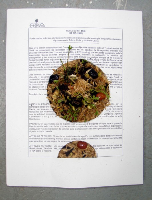 Mar&amp;iacute;a Buenaventura. Detalle Escritura y siembra. 2012.