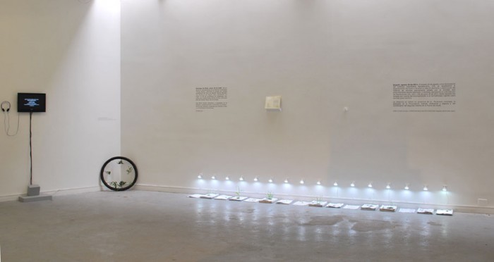 Mar&amp;iacute;a Buenaventura. Panor&amp;aacute;mica Escritura y siembra. 2012.