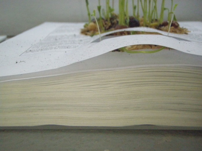 Mar&amp;iacute;a Buenaventura. Detalle Escritura y siembra. 2012.