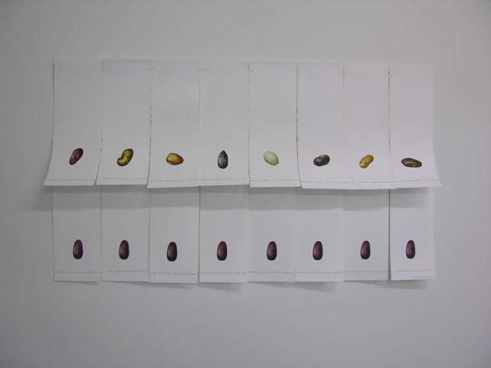 Mar&amp;iacute;a Buenaventura. Detalle Escritura y siembra. 2012.