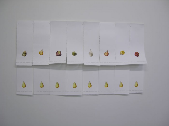 Mar&amp;iacute;a Buenaventura. Detalle Escritura y siembra. 2012.