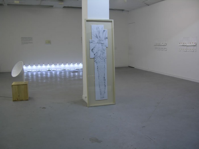 Mar&amp;iacute;a Buenaventura. Detalle Escritura y siembra. 2012.