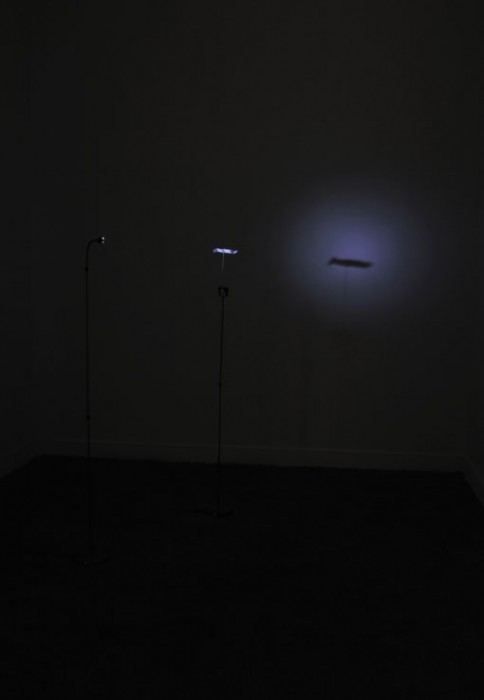 Cadena de sacrificio - Adriana Salazar - LA Galeria, 2013