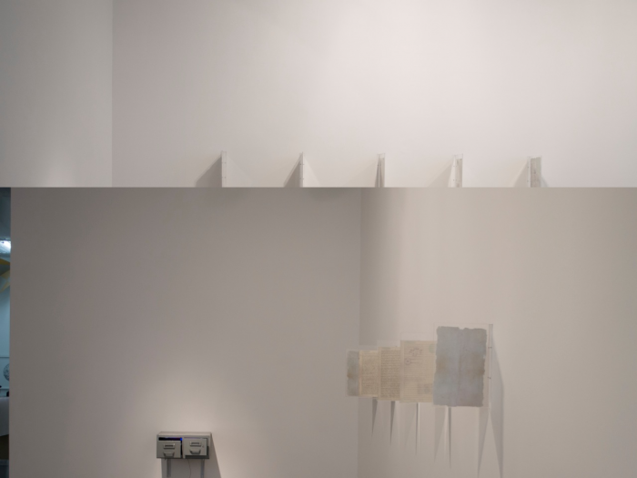 &amp;nbsp;&amp;nbsp;El algarrobo.&amp;nbsp;Dibujos de tinta invisible y escrituras.2013.&amp;nbsp;180 m x 3 m (archivador 43 x 40 x 19 cm &amp;ndash; escrituras 25 x 36 cm).