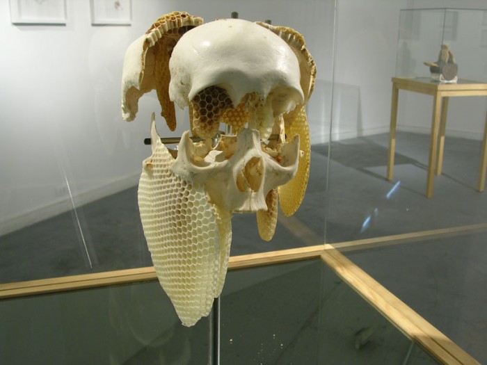 SELF - Leonardo Ramos - LA Galeria, 2013