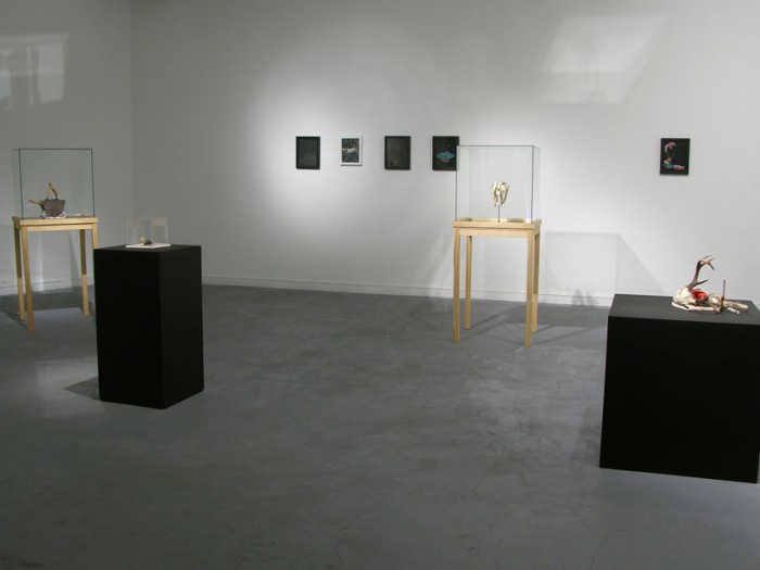 SELF - Leonardo Ramos - LA Galeria, 2013