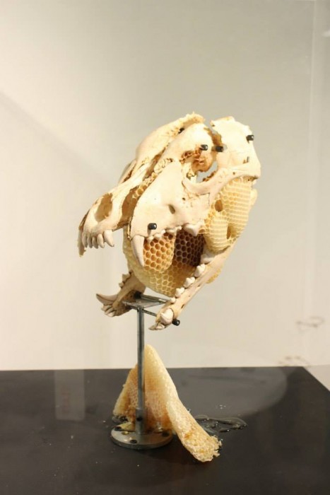 LA Galeria - Booth PN1 - Leonardo Ramos